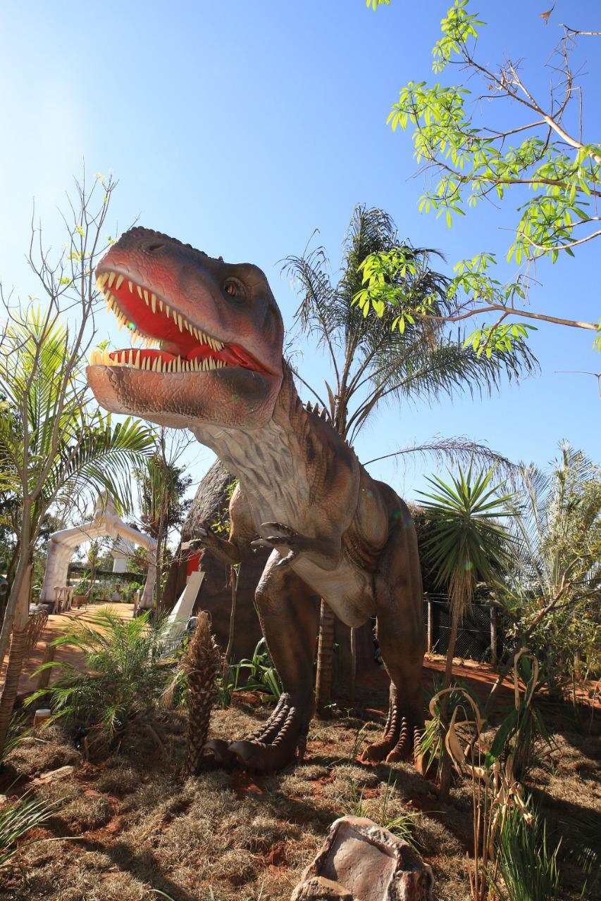 Dinossauros e animais para crianças! 1 HORA de Parque do T-REX
